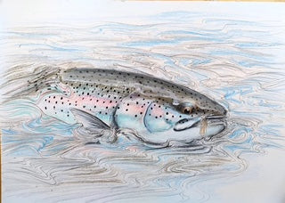 You added <b><u>Thomas Weiergang original A3 - Rainbow Trout on the Dry A3 </u></b> to basket.