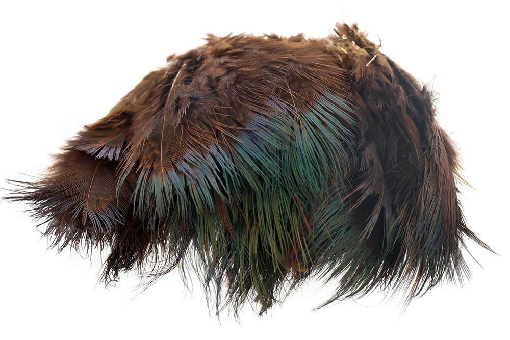 Ringneck Rump Hackle - Chocolate Brown