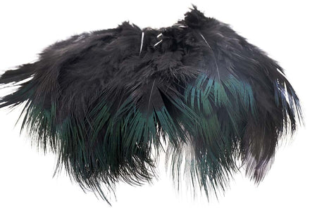 You added <b><u>Ringneck Rump Hackle - Black</u></b> to basket.