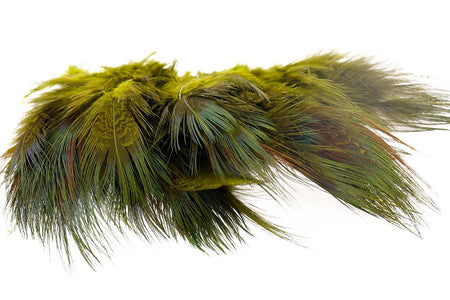 You added <b><u>Ringneck Rump Hackle - Olive</u></b> to basket.