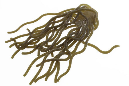 You added <b><u>Sili Squirmy Wormy - Olive Brown</u></b> to basket.