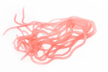 You added <b><u>Sili Squirmy Wormy - Salmon Pink</u></b> to basket.