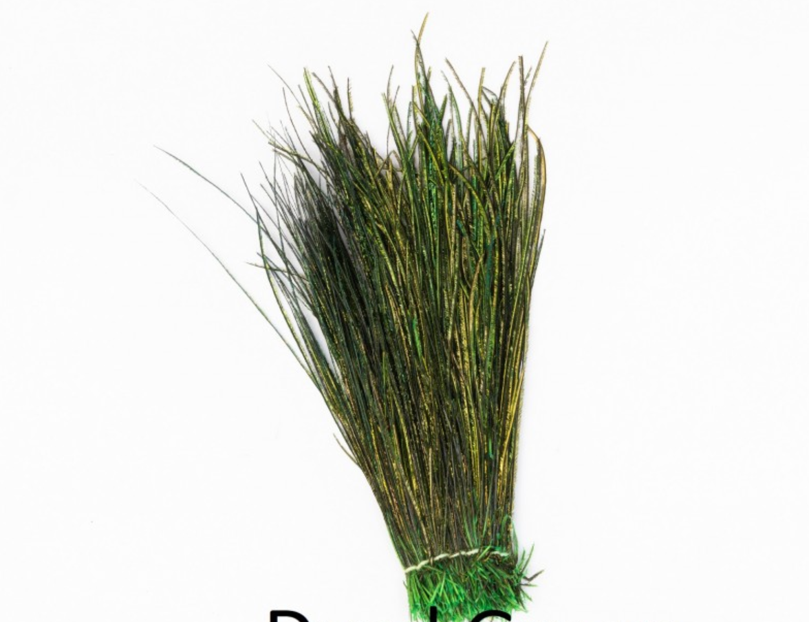 Peacocks Herl