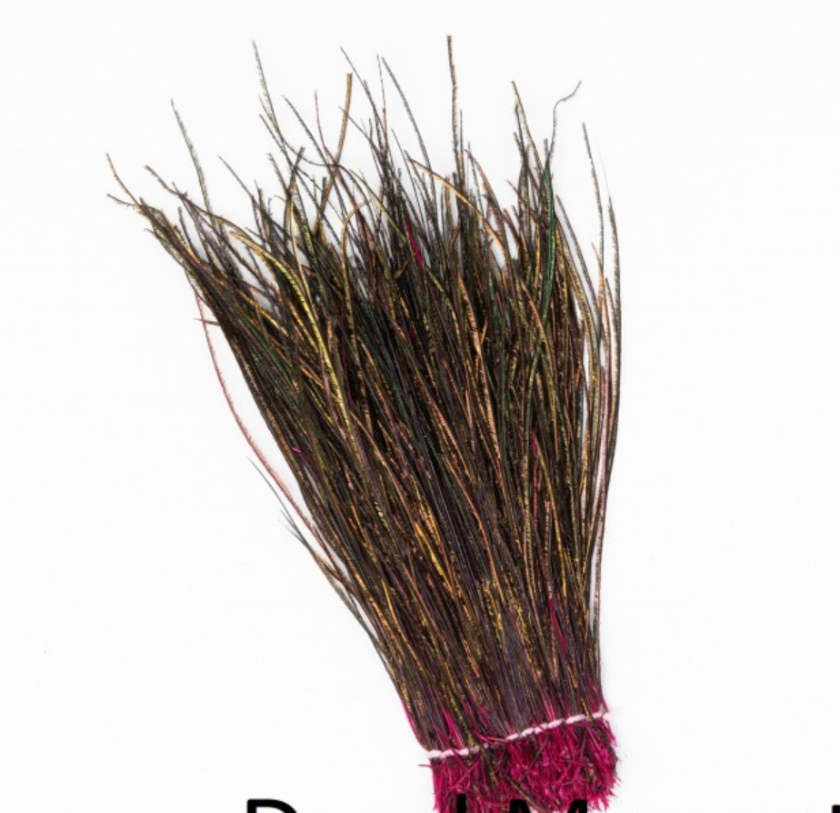 Peacocks Herl