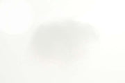 STF Dubbing - White