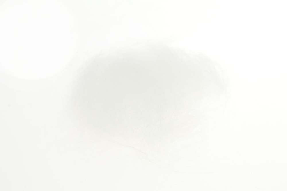 STF Dubbing - White