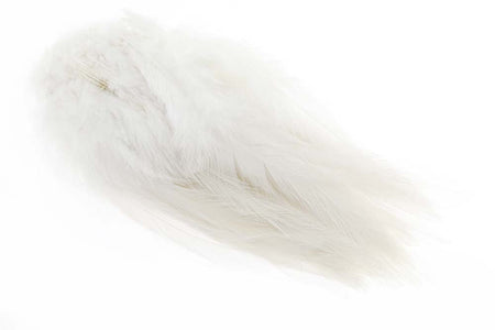 You added <b><u>Strung Rooster Saddle Long - White</u></b> to basket.