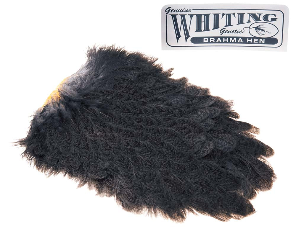 Whiting Brahma Saddle - Mottled Grey