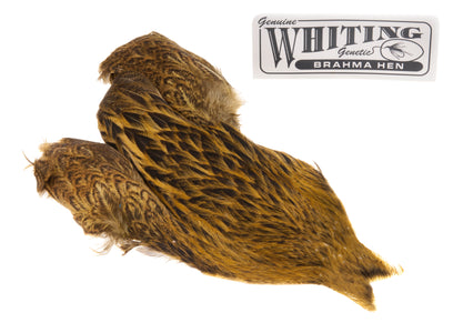 You added <b><u>Whiting Brahma - Golden Olive</u></b> to basket.