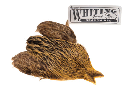 You added <b><u>Whiting Brahma - Golden Straw</u></b> to basket.