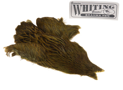 You added <b><u>Whiting Brahma - Olive</u></b> to basket.