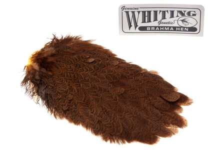 You added <b><u>Whiting Brahma Saddle - Golden Brown</u></b> to basket.