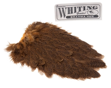 You added <b><u>Whiting Brahma Saddle - March Brown</u></b> to basket.