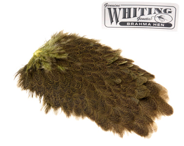 You added <b><u>Whiting Brahma Saddle - Olive</u></b> to basket.