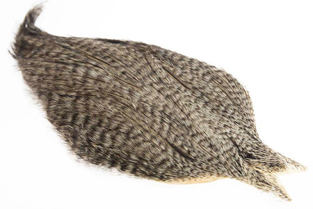 You added <b><u>Whiting Coq de leon Cape - Grizzly Variant</u></b> to basket.