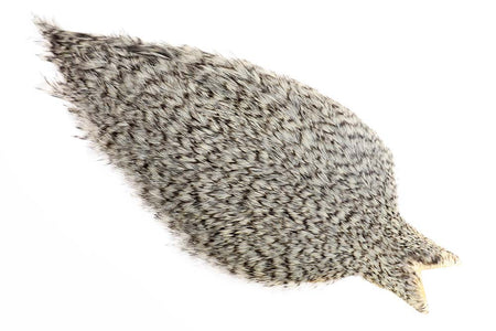 You added <b><u>Whiting Coq de leon Cape - Grizzly</u></b> to basket.