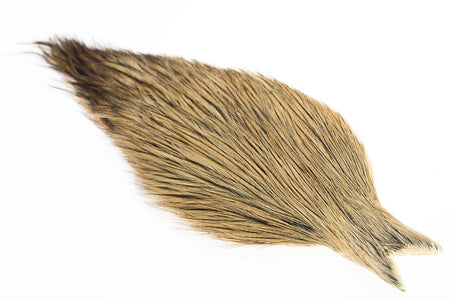 You added <b><u>Whiting Coq de leon Cape - Light Ginger</u></b> to basket.