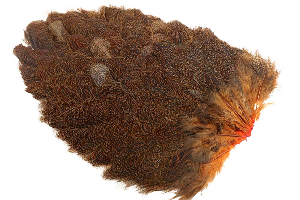 Whiting Coq de leon Hen Saddle - Speckled Burnt Orange