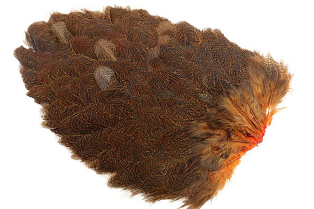 You added <b><u>Whiting Coq de leon Hen Saddle - Speckled Burnt Orange</u></b> to basket.