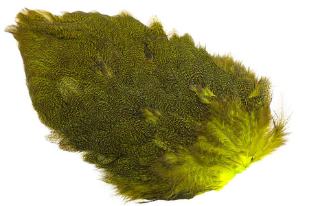 You added <b><u>Whiting Coq de leon Hen Saddle - Speckled Yellow Chartreuse</u></b> to basket.