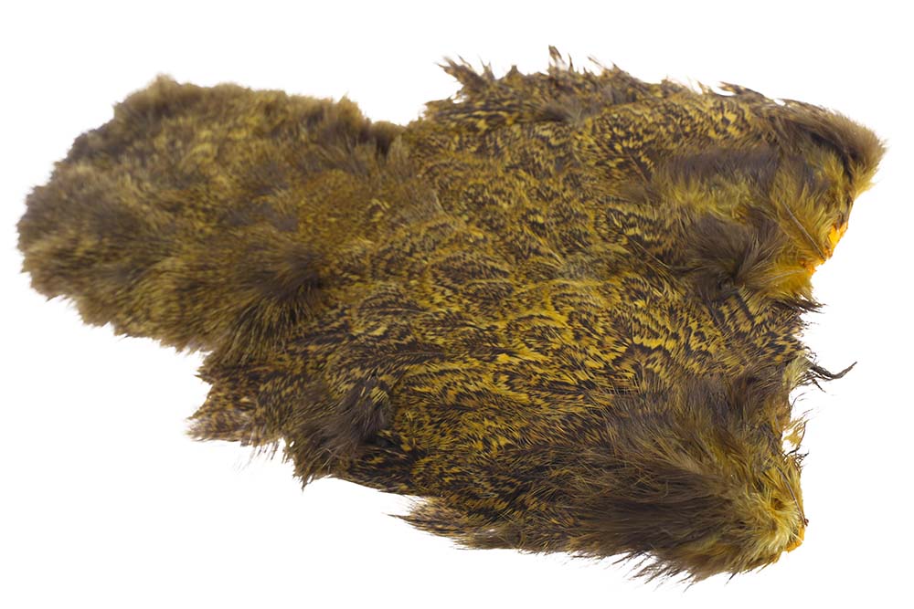 Whiting Coq de leon Hen Soft hackle with Chicabou - Speckled Golden Olive