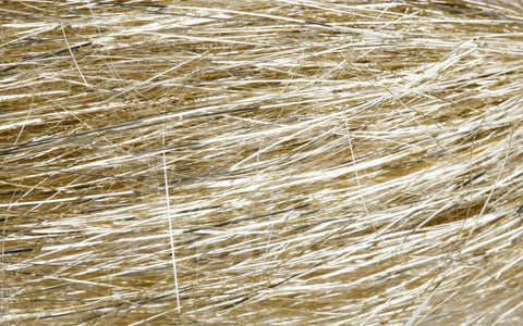 You added <b><u>Angel Hair - Yellow</u></b> to basket.