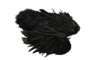 Whiting Rooster Softhackle W Chickabou SH/C - Black