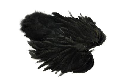 Whiting Rooster Softhackle W Chickabou SH/C - Black