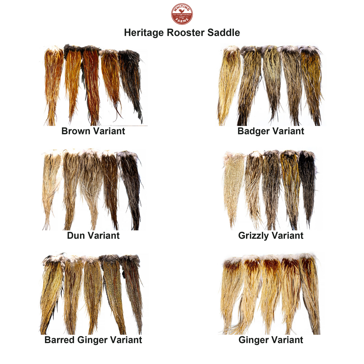 Farveoversigt – Whiting Heritage Rooster Saddle
