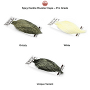 Farveoversigt – Whiting Spey Hackle Rooster Cape – Pro Grade