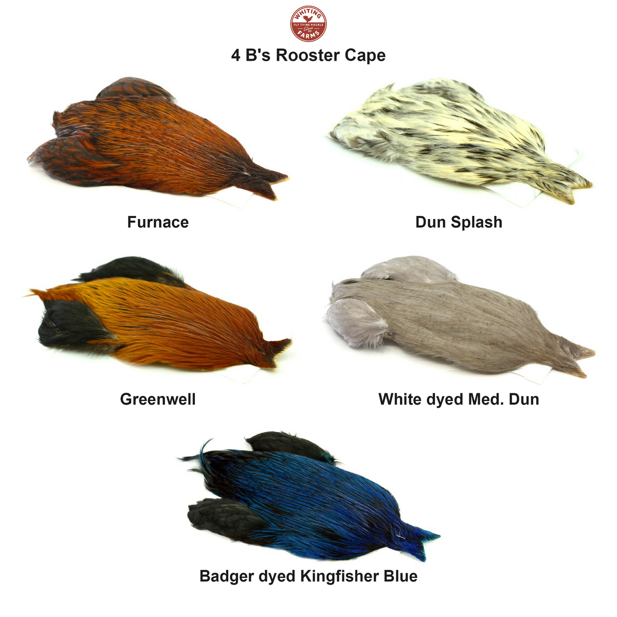 Farveoversigt – Whiting 4 B's Rooster Cape