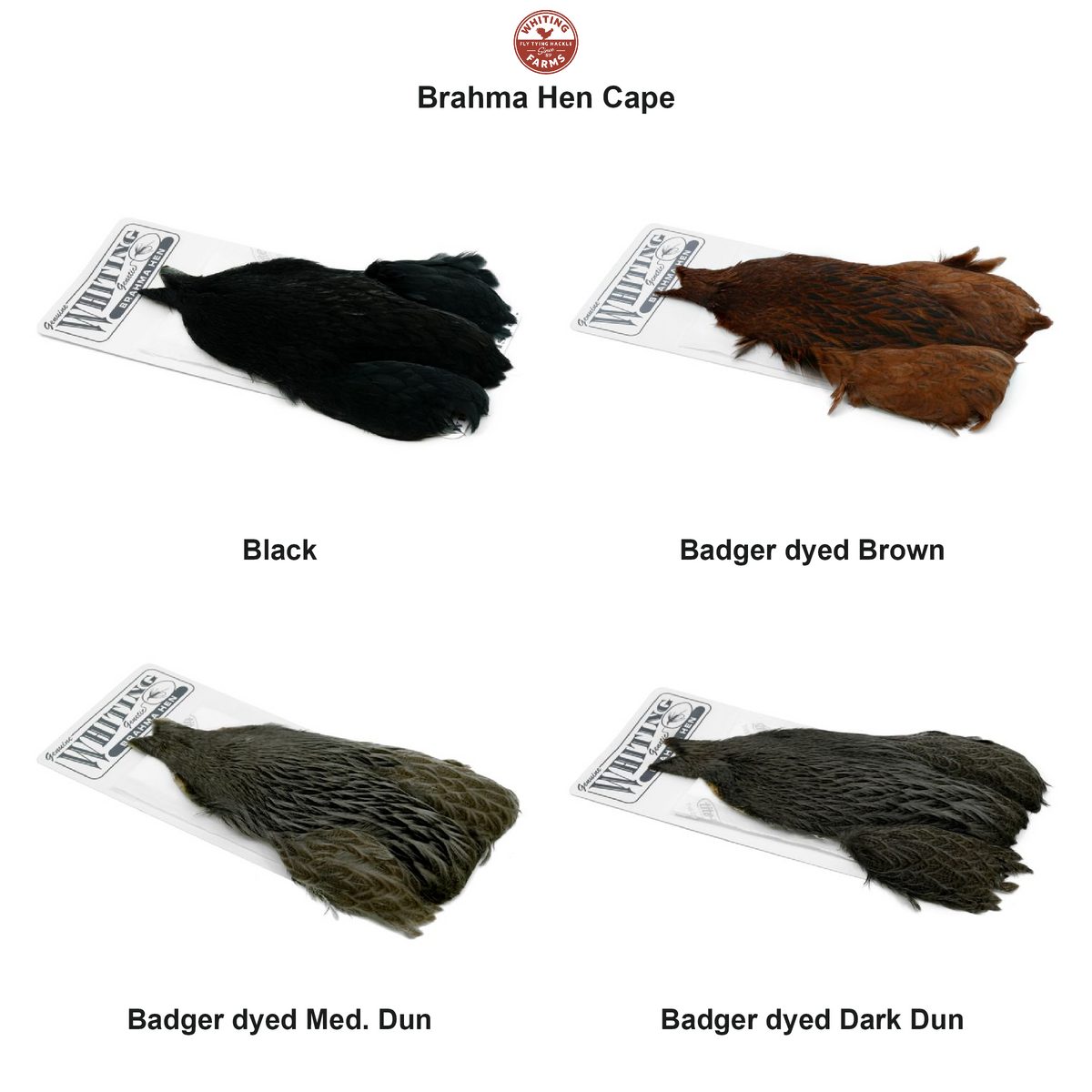 Farveoversigt – Whiting Brahma Hen Cape