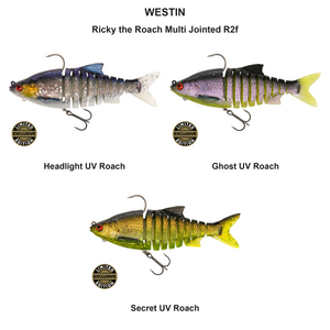 You added <b><u>Ricky the Roach Multi Jointed R2f</u></b> to basket.