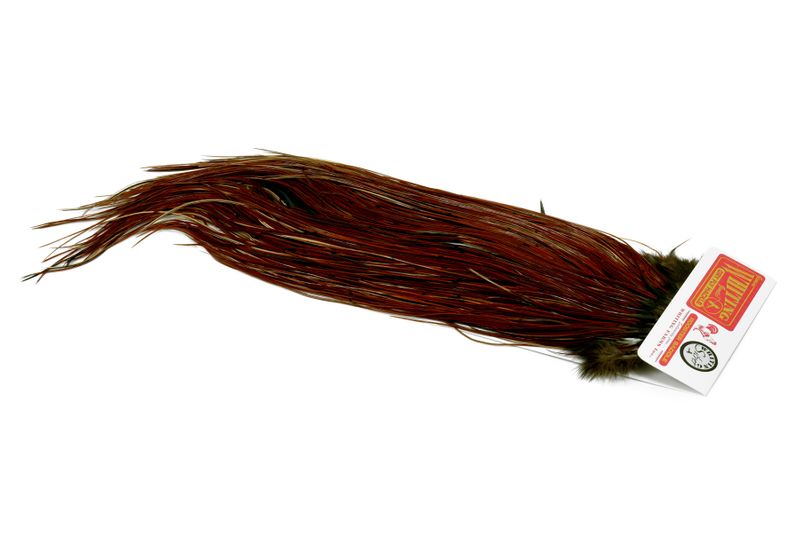 Whiting Silver Midge Saddle â€“ dealerweb-cms-00b2f82a-a133-437c-9805-e4ec433c1e07.jpg
