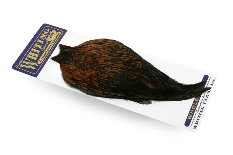 Whiting American Rooster Cape â€“ dealerweb-cms-0114320b-30c1-4e94-aea2-d3d16a6098e0.jpg