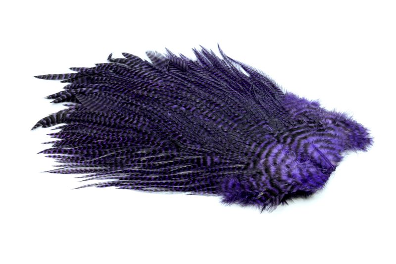 Whiting 4 B's Rooster Saddle â€“ dealerweb-cms-02afc5e2-a021-4a01-a9d8-cbbf1a0c0272.jpg