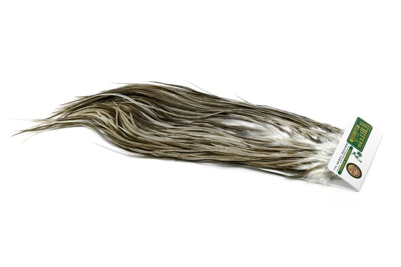 Whiting Hebert Rooster Saddle – Bronze â€“ dealerweb-cms-042657ce-5ef0-429c-bd6c-a96eb7195bad.jpg