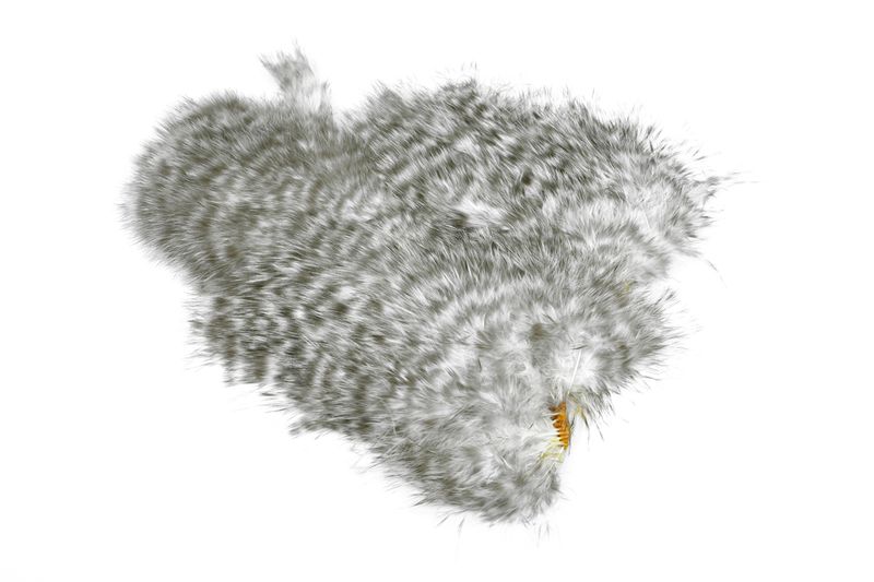 Whiting Spey SH/C â€“ dealerweb-cms-0490050b-e9a9-4307-b01c-be752a31e010.jpg