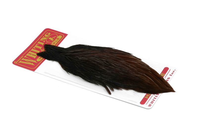 Whiting Hen Cape â€“ dealerweb-cms-0491280a-983d-4b4c-8bb9-03ff8fcb27d1.jpg