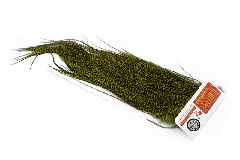 Whiting Silver Midge Saddle â€“ dealerweb-cms-04bde6d9-84ad-4b5f-b2eb-f1ab8c39ec85.jpg