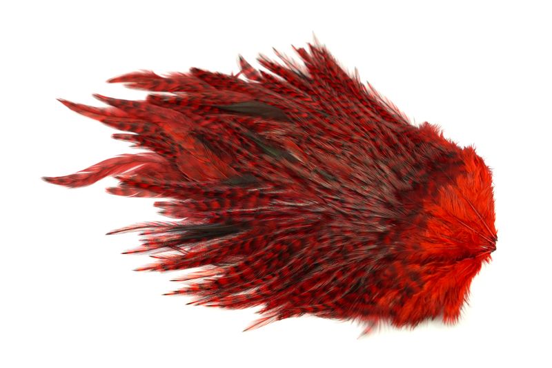 Whiting 4 B's Rooster Saddle â€“ dealerweb-cms-091a97d4-ae71-49fa-a9d6-3f38e69c5f47.jpg