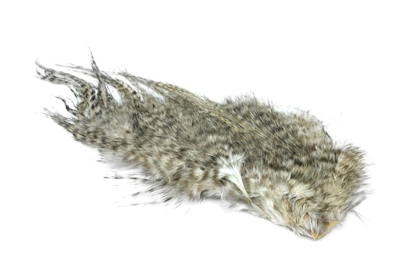 Whiting Bird Fur â€“ dealerweb-cms-0a06a6b7-5efc-46bd-a553-d1a71c9379a3.jpg
