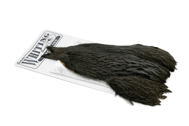 Whiting Brahma Hen Cape â€“ dealerweb-cms-0a0cafe0-8543-4b19-bb12-dad3bfd4a19a.jpg