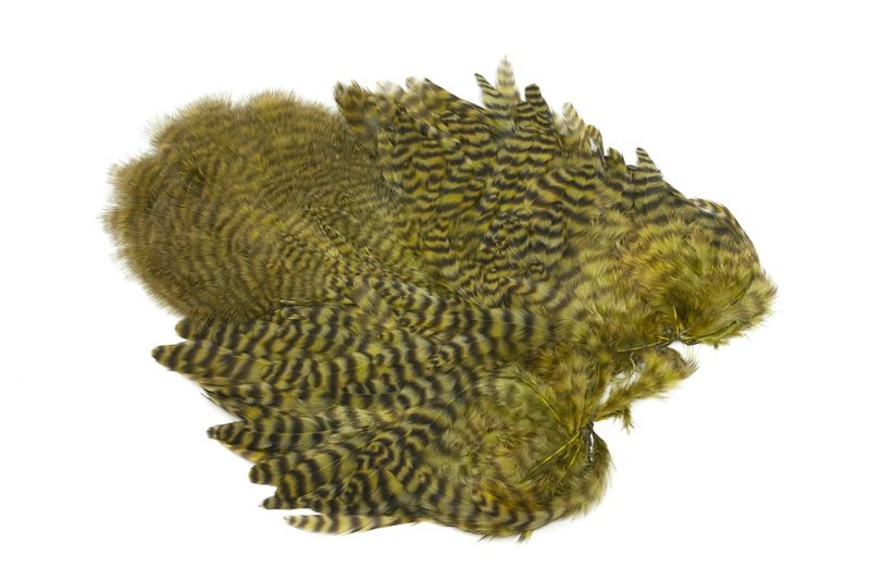 Whiting Rooster SH/C â€“ dealerweb-cms-0a790a7f-86f5-42f3-b153-27ac4785a7e1.jpg