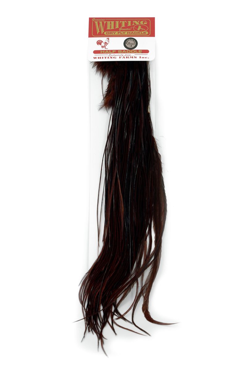 Whiting Rooster 1/2 Saddle – Bronze â€“ dealerweb-cms-0b5edcb2-14dd-4b1d-8ef7-626796a4652d.jpg