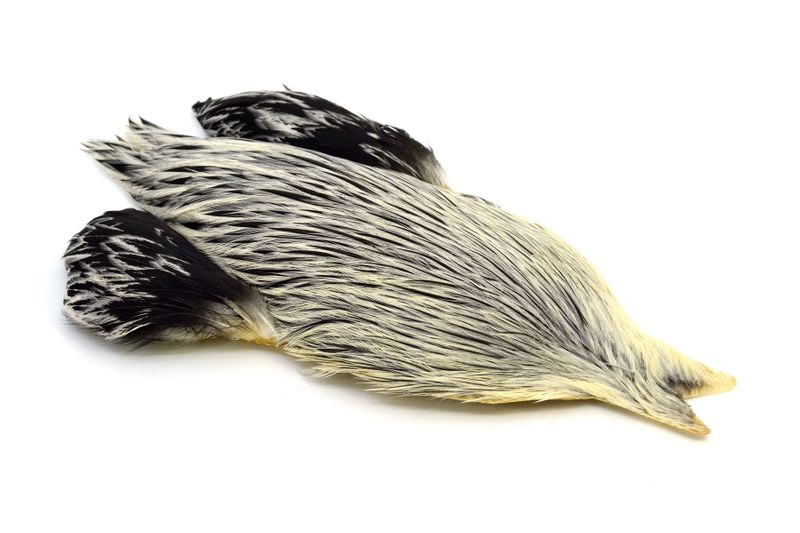 Whiting Brahma Rooster Cape â€“ dealerweb-cms-0d0a213d-636e-448c-885c-bcb529ad67da.jpg