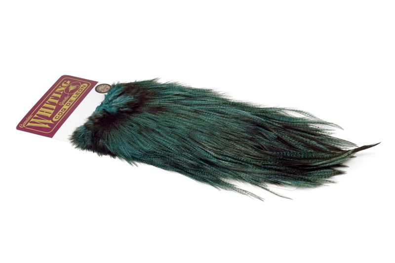 Whiting Coq de Leon Rooster Saddle – Bronze â€“ dealerweb-cms-0e4711e8-e0d5-47c7-b6be-b5f1bcefd714.jpg