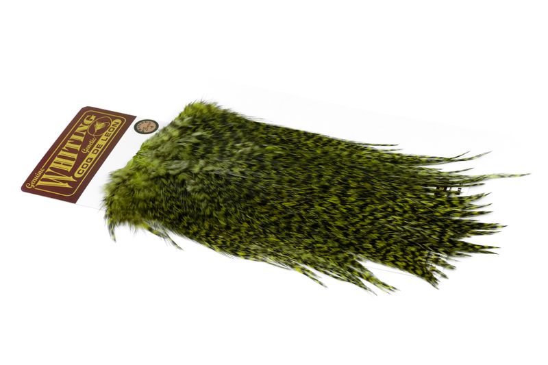Whiting Coq de Leon Rooster Saddle – Bronze â€“ dealerweb-cms-0eb3124b-148b-4499-bc15-dffe09cf08d6.jpg