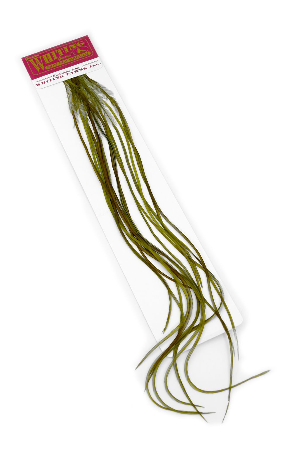 Whiting 100 Pack - White Perfect for flatwing sandpipers 