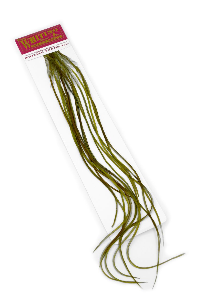 Whiting 100-pk – Size 14 â€“ dealerweb-cms-0f4826c9-21fe-411a-a2a9-4dac7c23319f.jpg